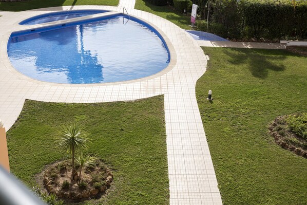 Une piscine avec une terrasse carrelée et un petit palmier au premier plan.