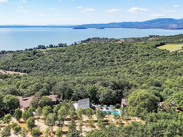 A resort with a swimming pool, surrounded by dense forest and overlooking a large body of water.