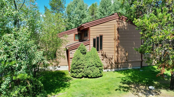 Udendørsområde