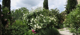 In Jean Giono country, at the foot of the village of Lurs, in the countryside.