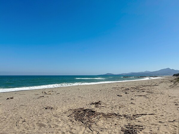 Beach - Seafront apartment with terrace and pool (Saint-Cyprien)