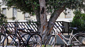 Bicicletas estacionadas junto a un árbol y una valla en un entorno al aire libre.