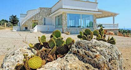 Luxury Apartment In Villa Vanissia