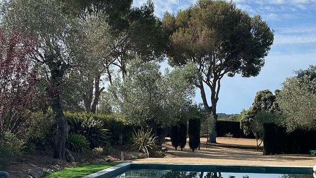 Una piscina con agua cristalina azul, rodeada de árboles y un césped cuidado.