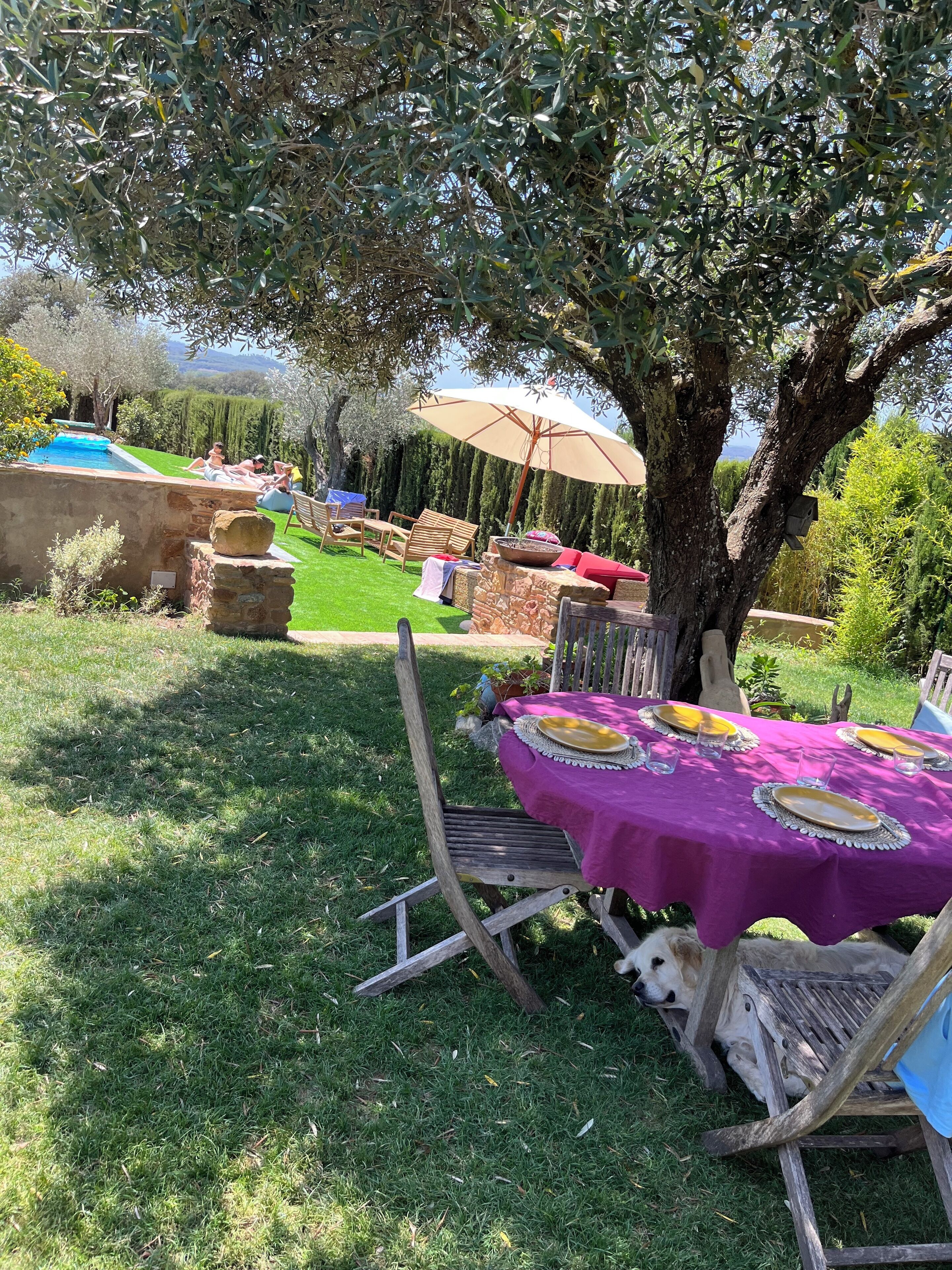 Un jardín con una mesa preparada para una comida, rodeado de follaje y un árbol.