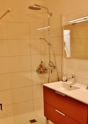 Shower, hair dryer, soap, toilet paper