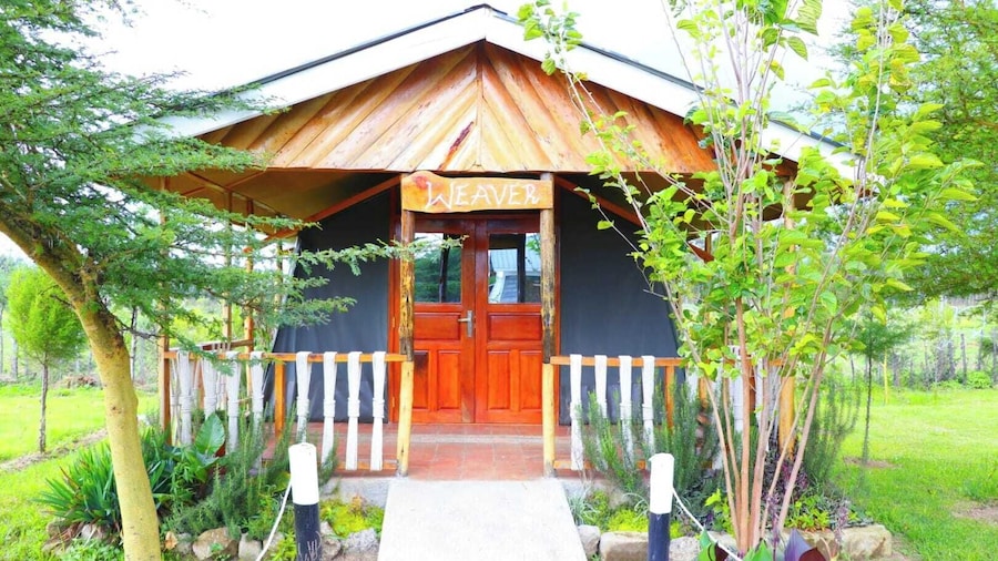 Tamarisk Ol Bolosaat