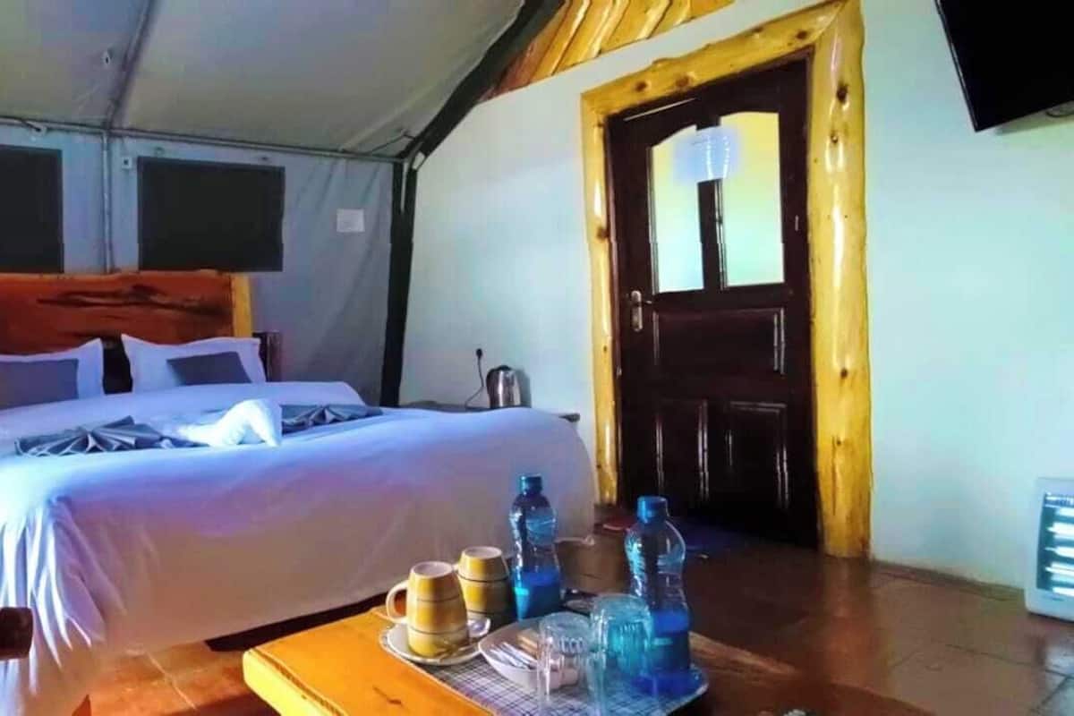 1 habitación, decoración personalizada y muebles diferentes