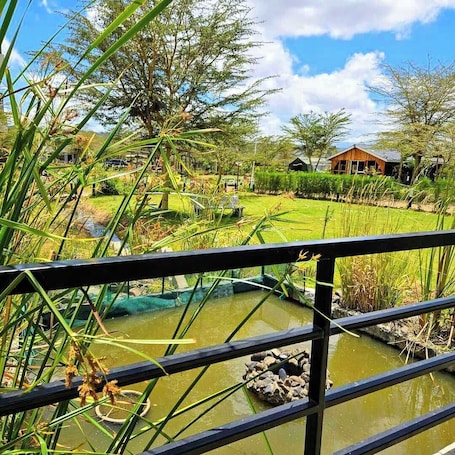 Exterior. Tamarisk Ol Bolosaat