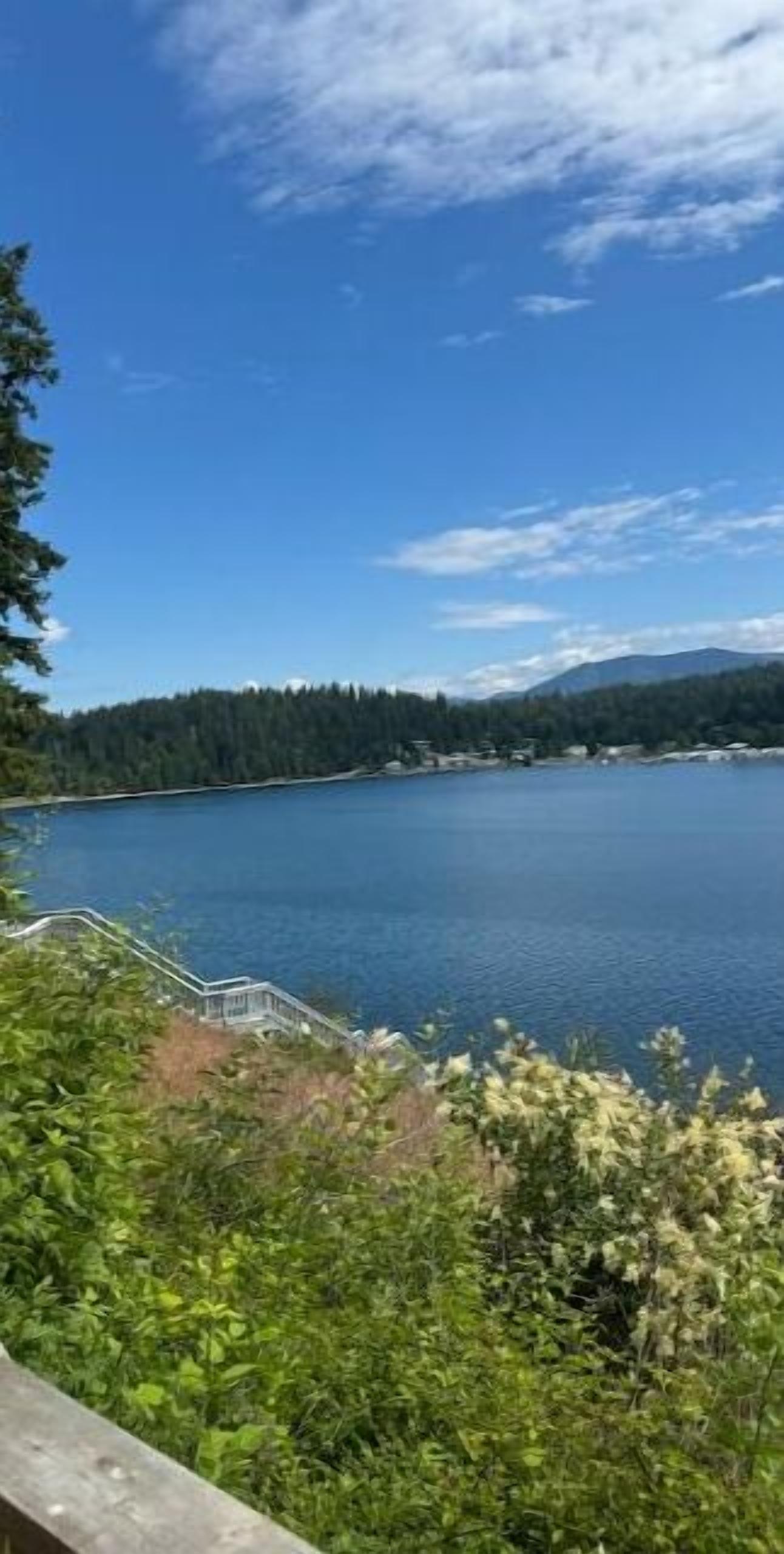 Un lac bordé d’une forêt et surplombé d’un ciel dégagé.