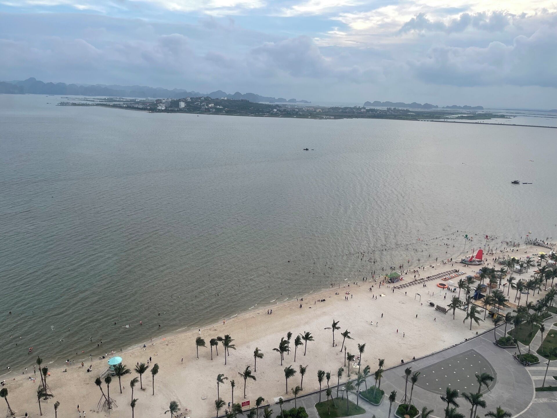 Una playa con palmeras y una extensión de agua.