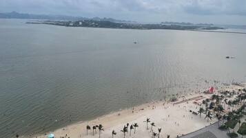 Una playa con palmeras y una extensión de agua.