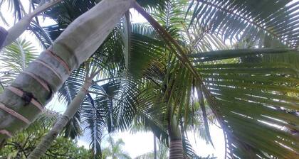 Seasonal House 05 bedrooms Gated Community North Coast Mococa Beach