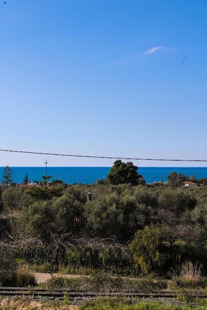 Eine Küstenlandschaft mit dichter Vegetation und blauem Himmel.