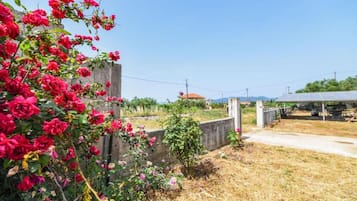 House | 2 bedrooms, Internet