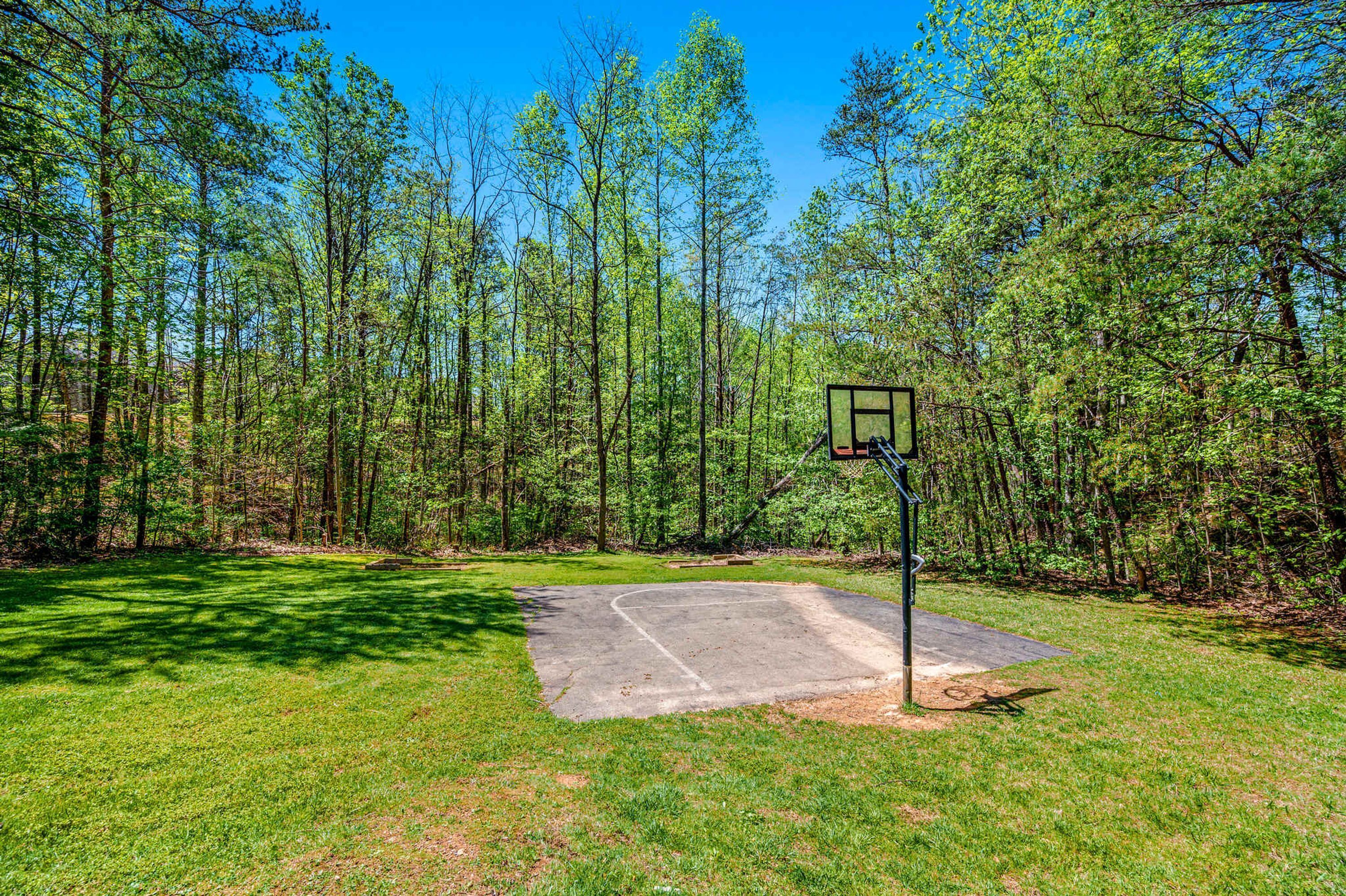 A basketball court surrounded by a forest.