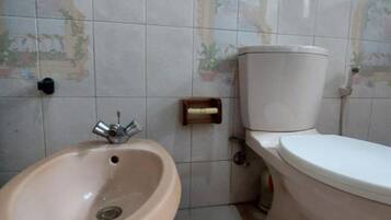 Shower, towels, toilet paper