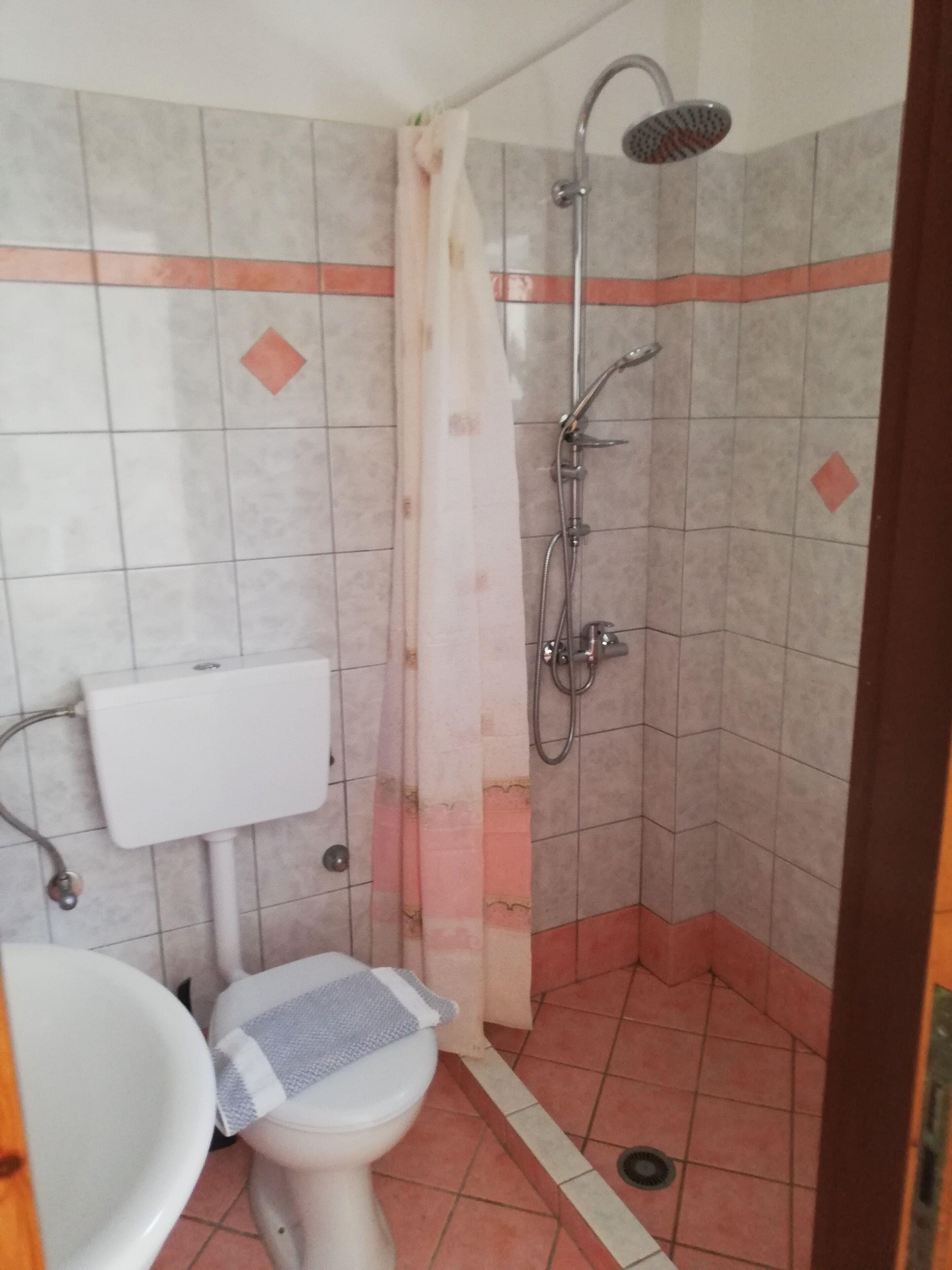 Et badeværelse med toilet, håndvask, bruser og flisebeklædte vægge.