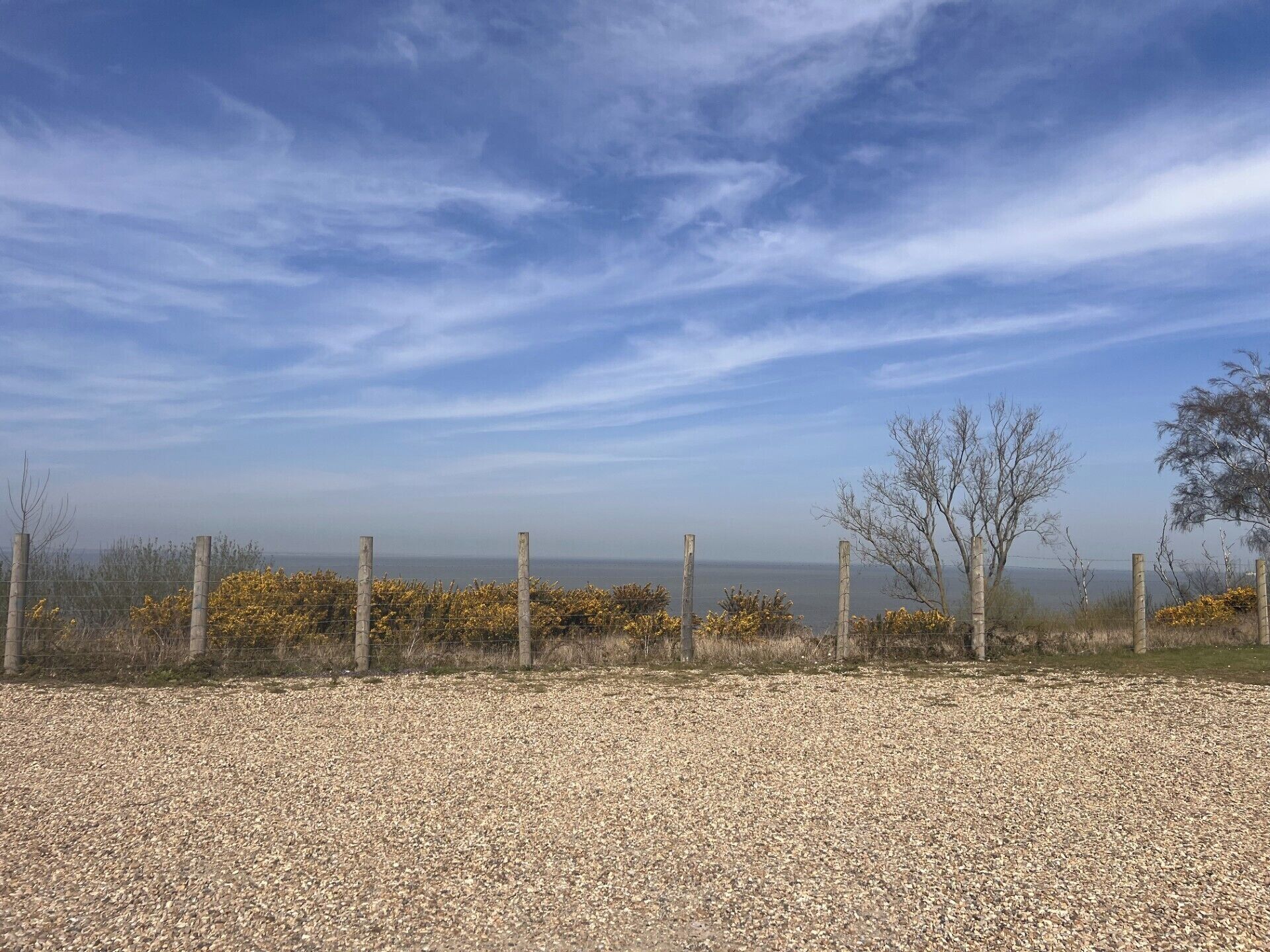 A gravel path leading to a fence overlooking a body of water.