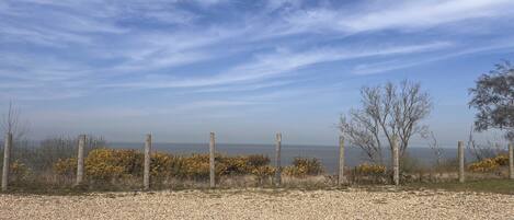 A gravel path leading to a fence overlooking a body of water.