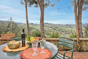 Outdoor dining - Relaxing Tuscan Terrazza Near Florence (Impruneta)