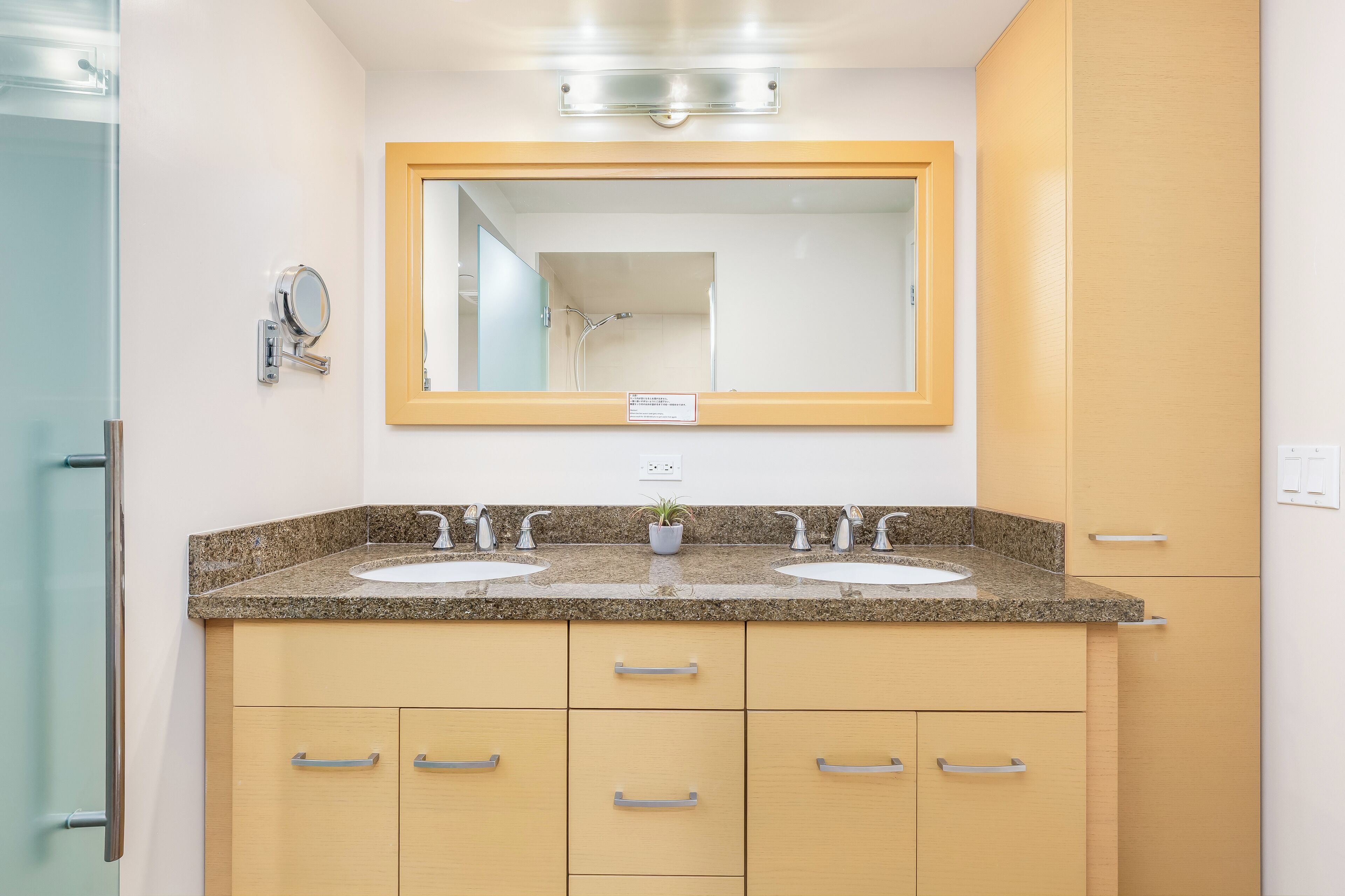 A bathroom with two sinks, a mirror, and a potted plant.