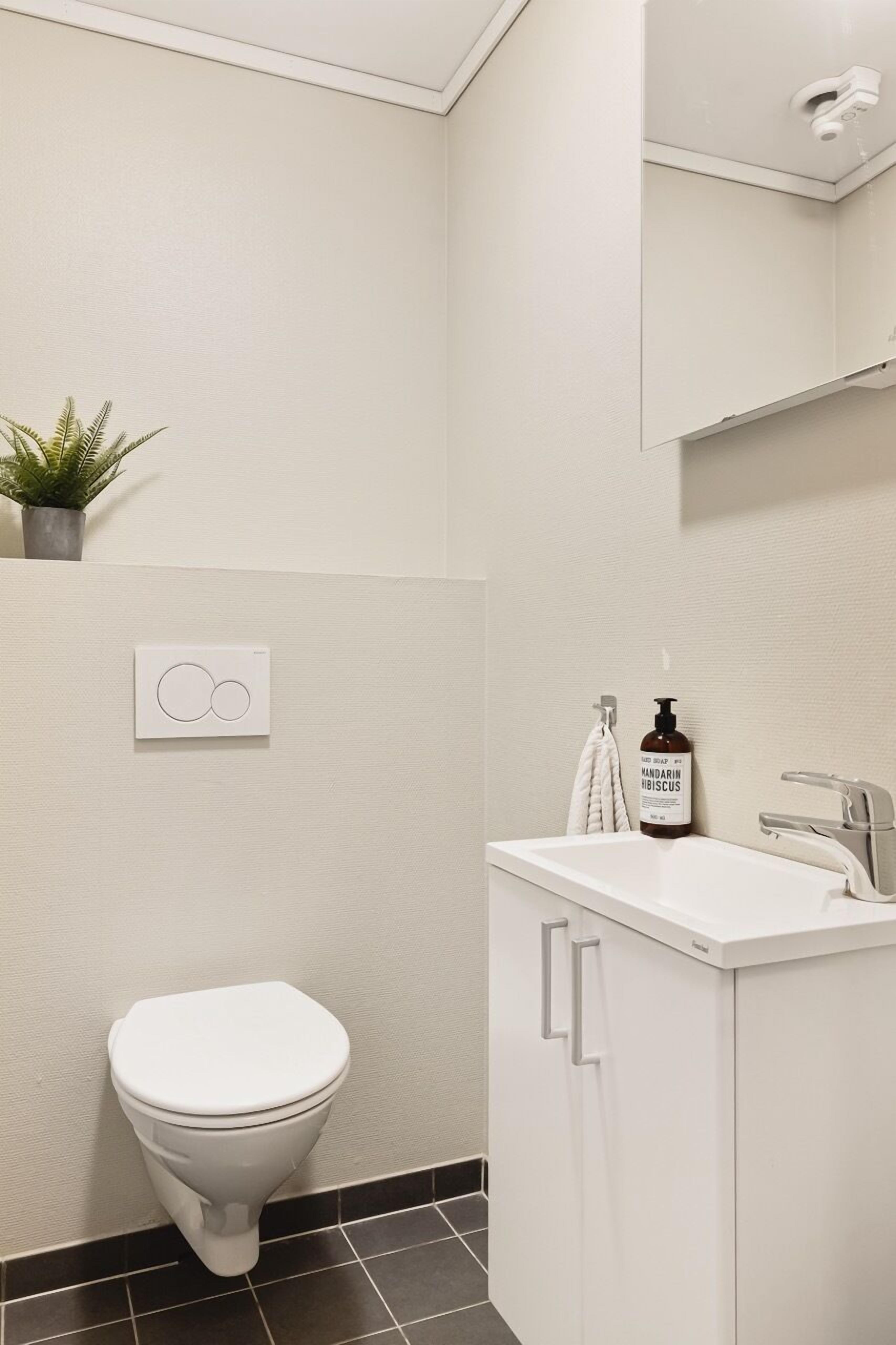 A modern bathroom with a toilet, a sink, and a mirror. There is a plant on the wall and a soap dispenser on the sink.