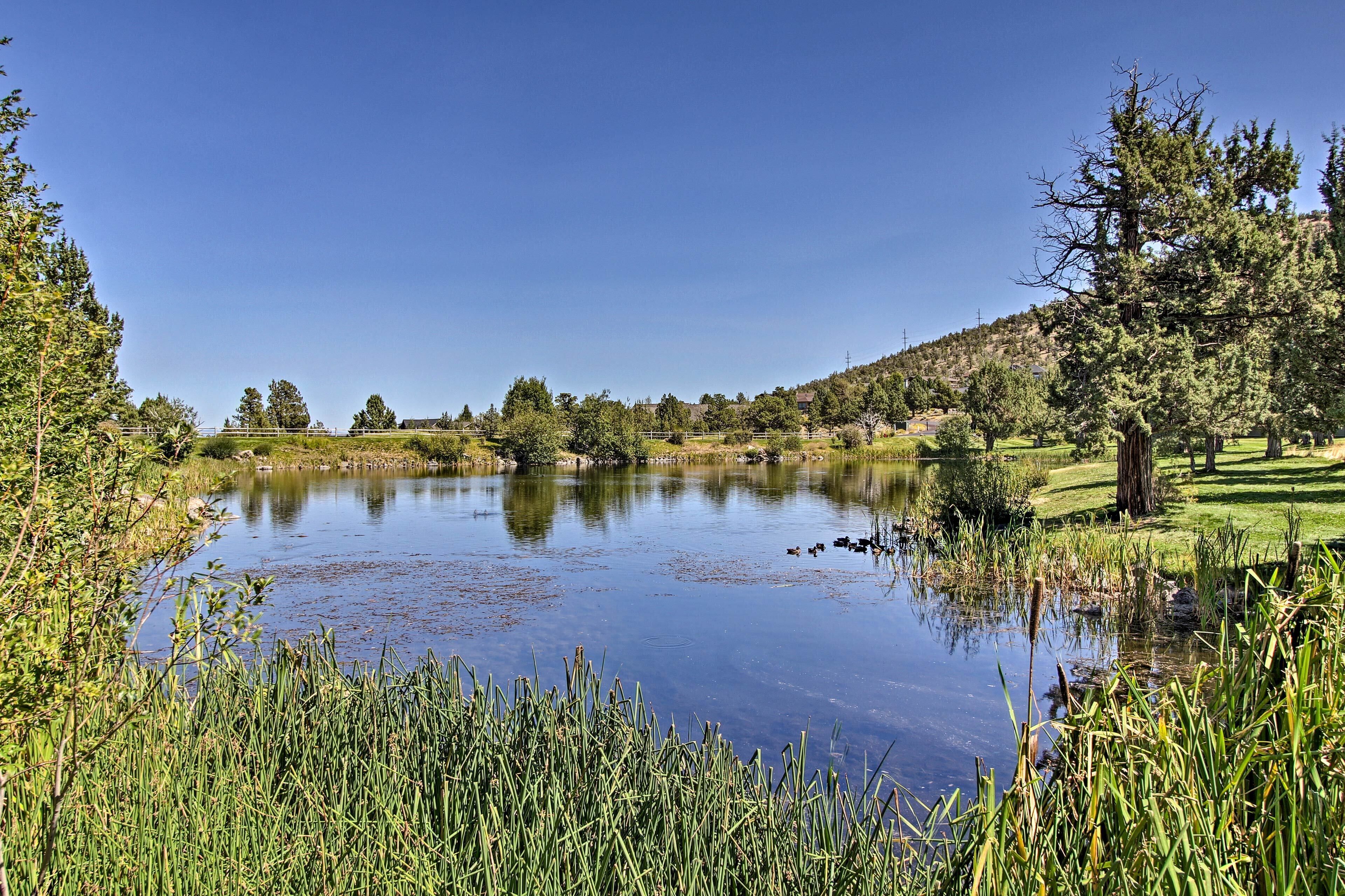 Un lac paisible, bordé d’une végétation luxuriante et d’arbres, sous un ciel bleu et dégagé.