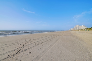 Apartment (1 Bedroom) | Interior