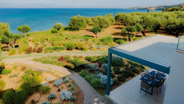 Una terraza con vista al mar, rodeada de olivos y un sendero de jardín.