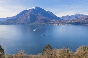 Botón de imagen sin clasificar, 5 de 36