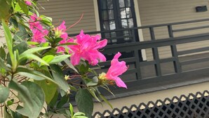 A house with a porch, a flag, and pink flowers. - Downtown Historic home steps away from Festival International (Lafayette)
