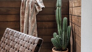 A balcony with a woven chair, a potted cactus, and a wooden fence. - Space City - Prof. Design, Game Room, King BD (Houston)