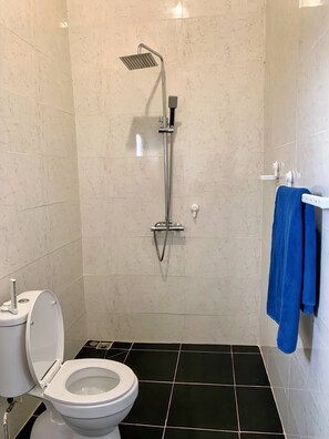 Ducha, toallas, jabón, papel higiénico