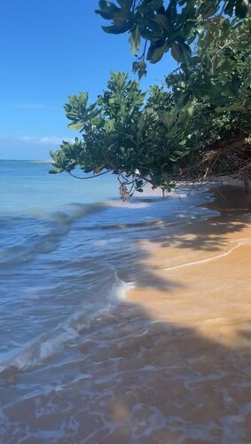 Hibiscus Cove
