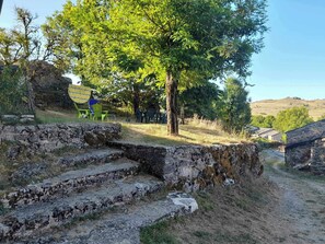 Property grounds - LA GRANGE - CAUSSENARDE HOUSE (Fraissinet-de-Fourques)