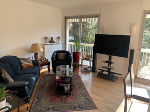 Smart TV, computer monitors