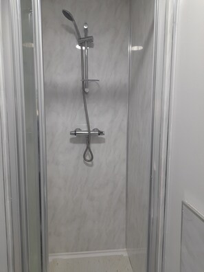 Shower, towels, toilet paper