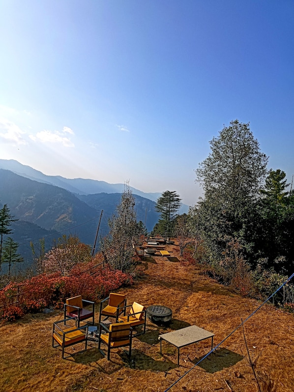 BBQ/picnic area - Apple Retreat Resort (Theog)