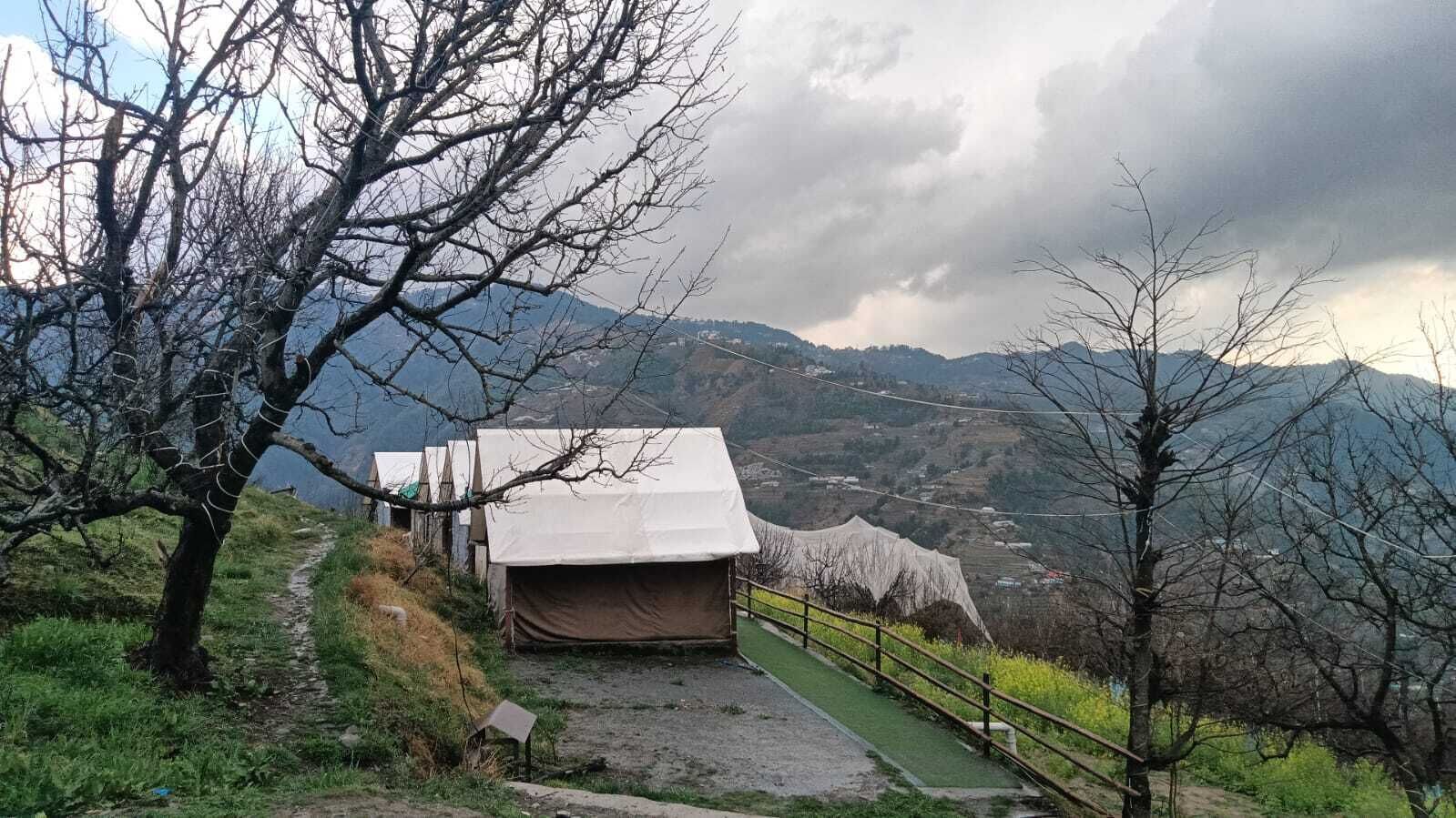 Un área con carpas, con un sendero que la conecta, rodeada de árboles y un paisaje montañoso.