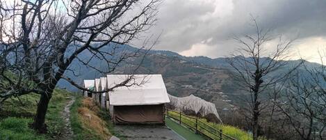 Un área con carpas, con un sendero que la conecta, rodeada de árboles y un paisaje montañoso.