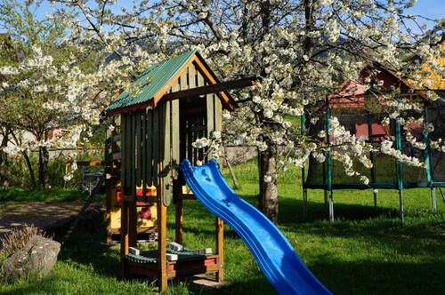 Gîte Sorbier in Breitenbach Alsace