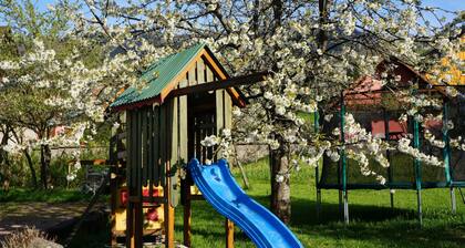 Gîte Sorbier in Breitenbach Alsace