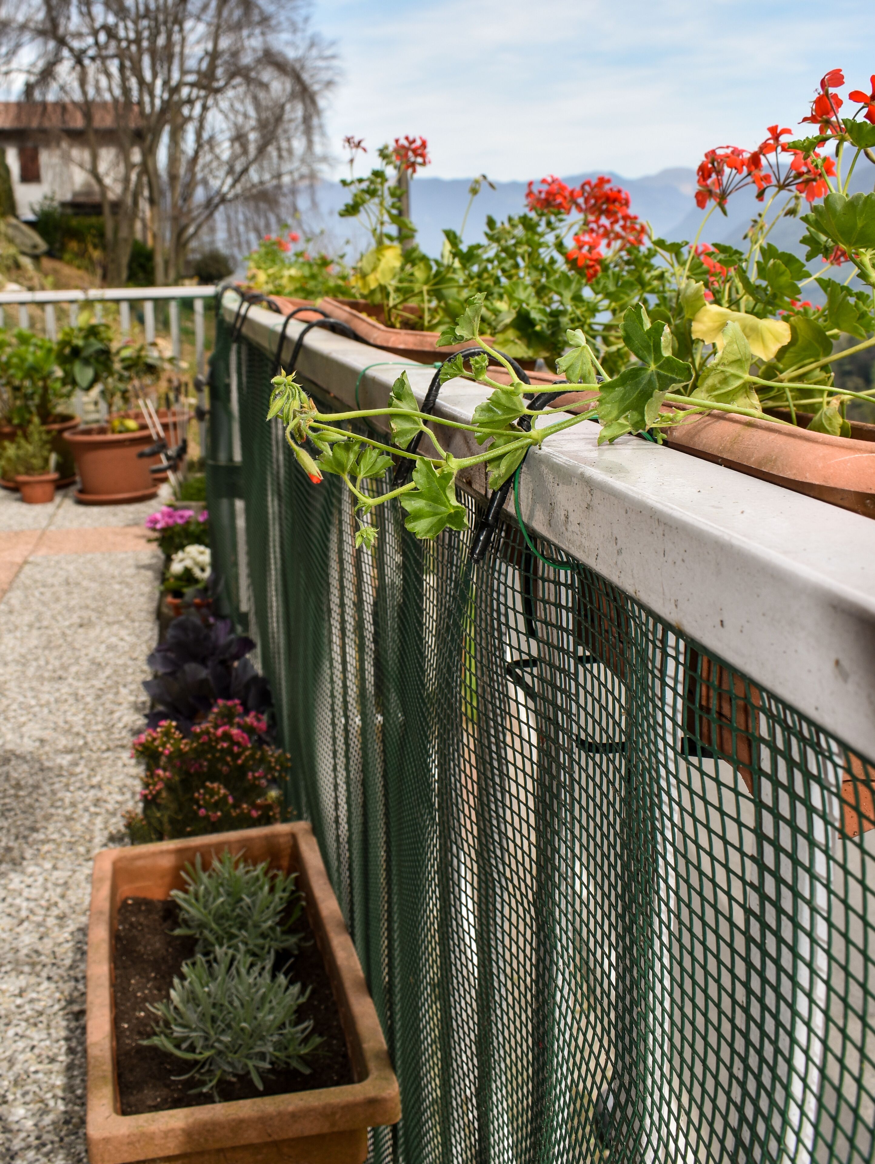 Leilighet, balkong, utsikt mot innsjø | Terrasse/patio