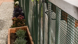 Un jardin sur le toit, agrémenté de plantes en pot et d’une clôture en treillis végétal.