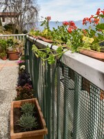 A rooftop garden with potted plants and a green mesh fence.