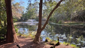 A wooden bench in a wooded area with a pond and a fountain in the background. - Charming 2 bedroom townhome in Seagrove steps to the beach! (Santa Rosa Beach)