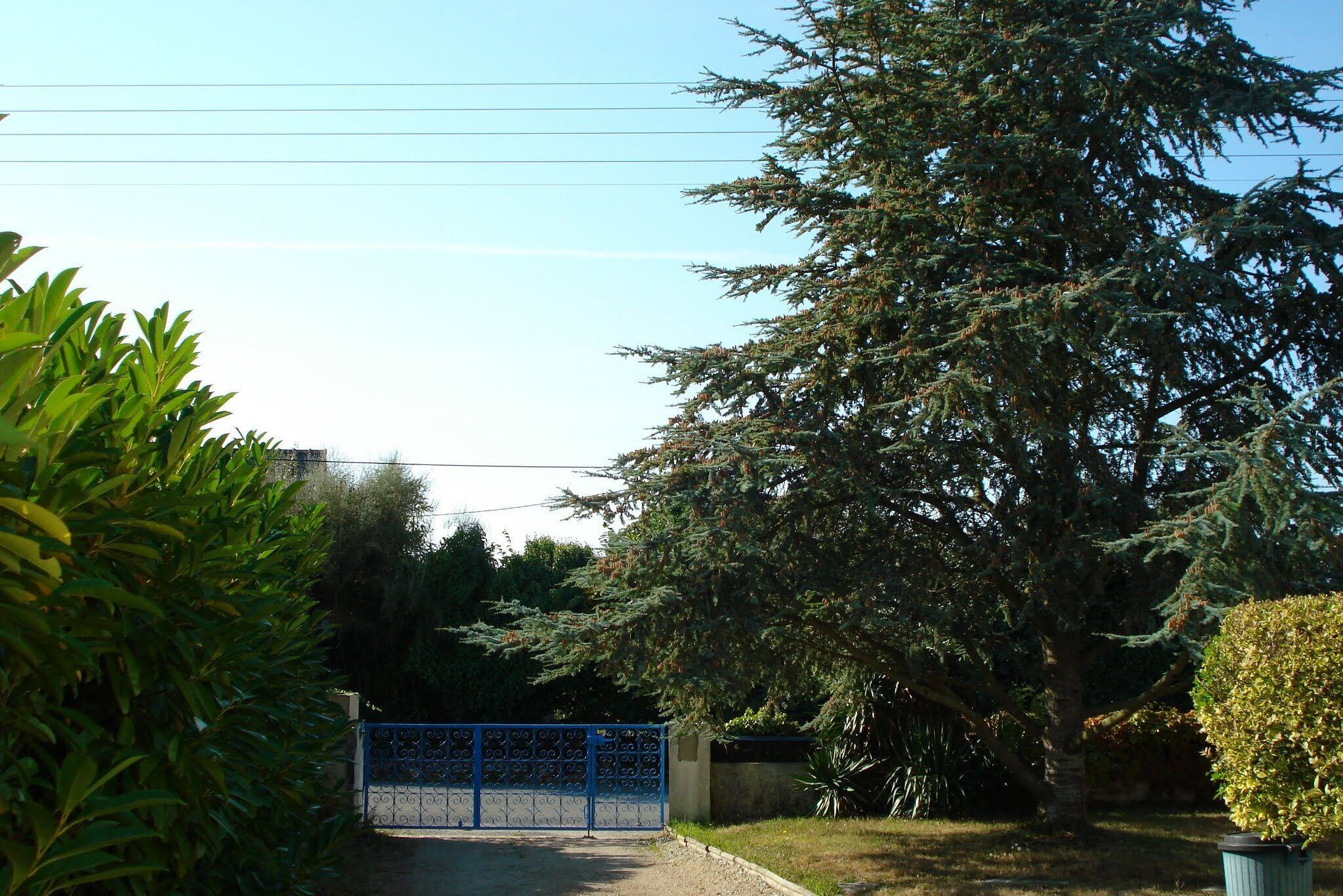 A gated driveway leading to a building surrounded by trees.
