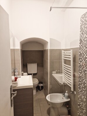 Shower, hair dryer, bidet, towels