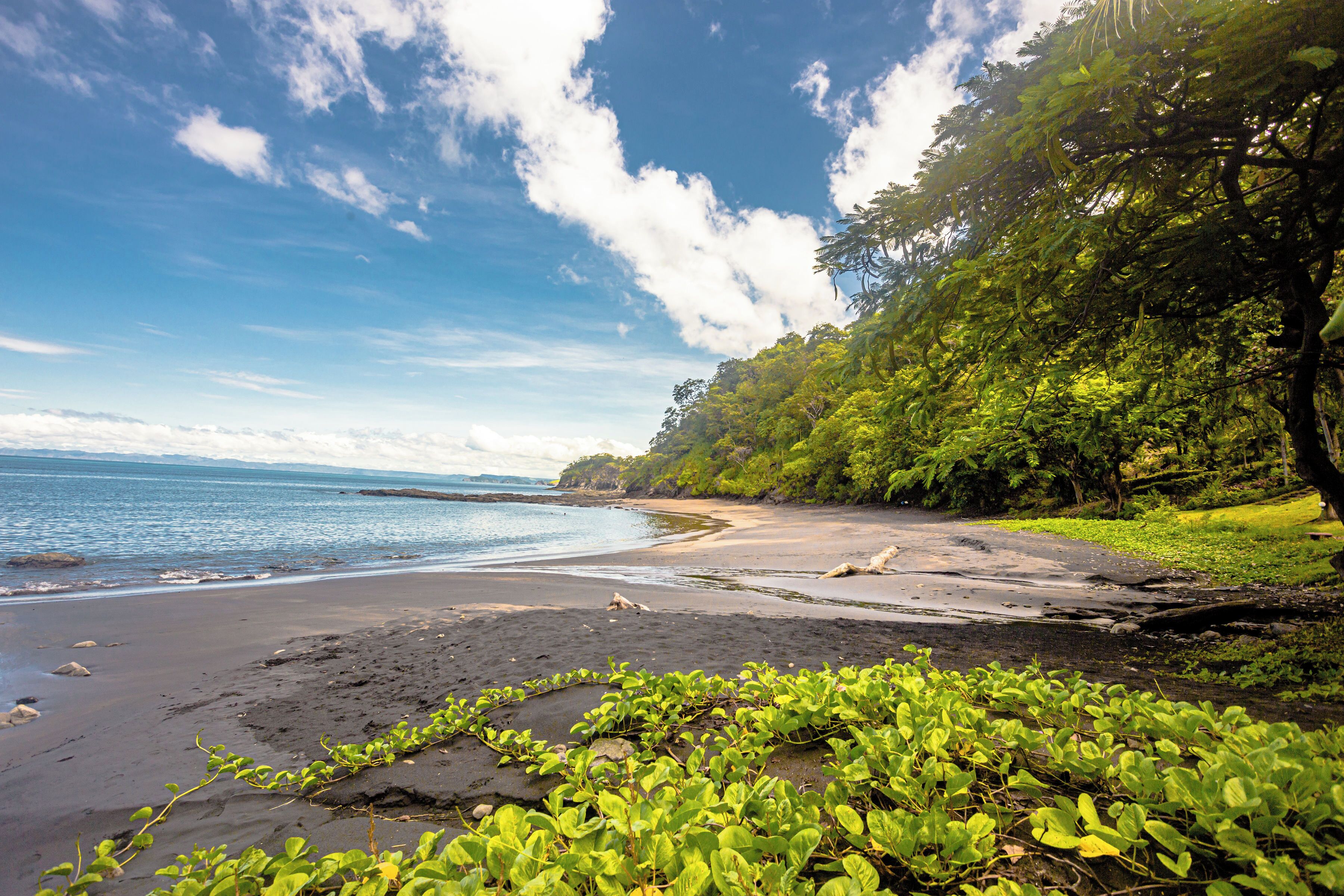 Sun loungers, beach towels